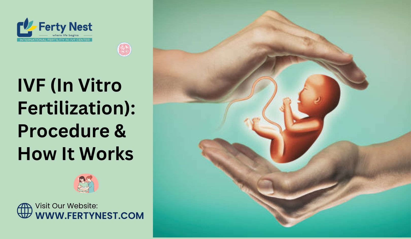 IVF (In Vitro Fertilization): Procedure & How It Works