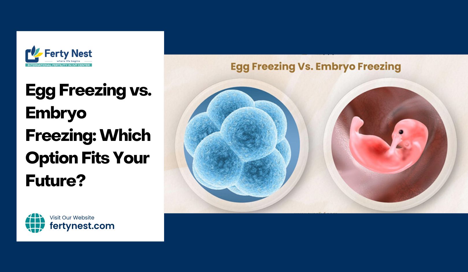 Egg Freezing vs. Embryo Freezing: Which Option Fits Your Future?